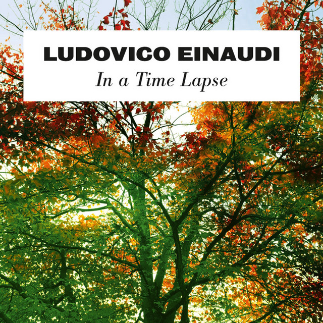Experience cover art