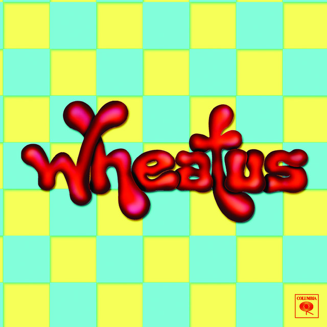 Teenage Dirtbag cover art