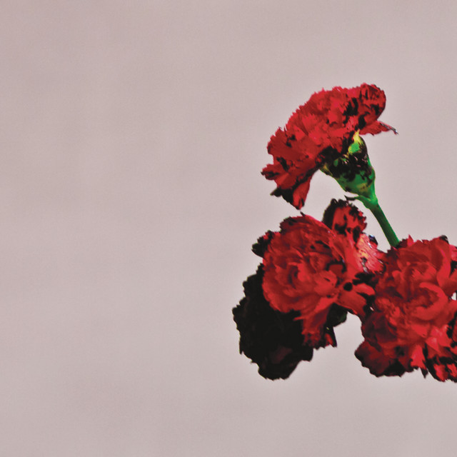 All of Me cover art