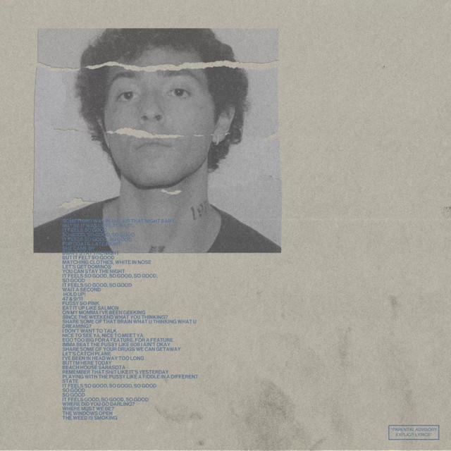Beanie cover art